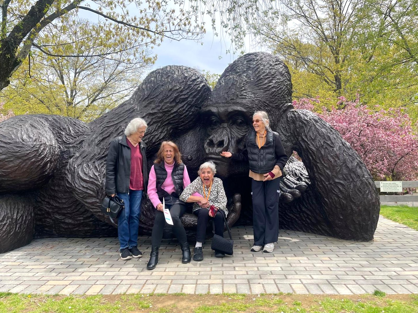Evergreen members on an outing, gathered by a large gorilla sculpture in a park in spring